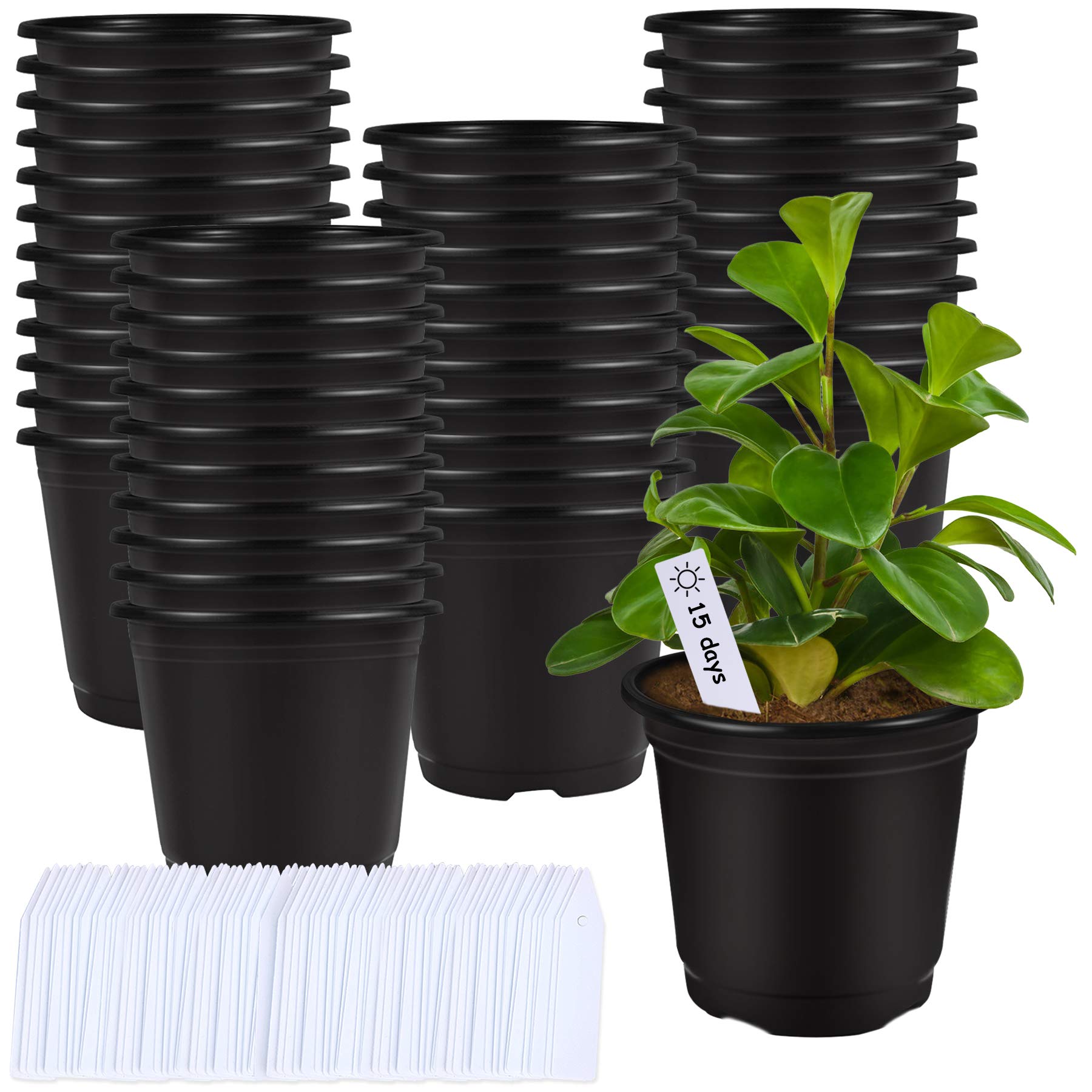 Augshy 75 Pack 0.5 Gallon Black Plastic Nursery Pots - 6 Inch Seed Starter Containers with 100 Plant Labels for Indoor/Outdoor Gardening, Herbs, Flowers & Vegetables
