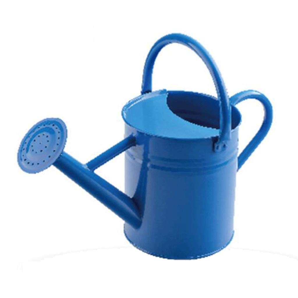 Mini Metal Iron Watering Can - 2.4L Blue Plant Watering Pot, Garden Flower Pitcher & Home Decor Vase | Perfect for Indoor Plants, Outdoor Gardening & Decorative Tabletop Display