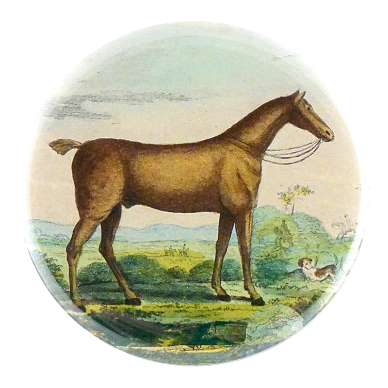 Premium Brown Horse Wall Art - High Resolution MB JPG Download for Home & Office Decor | Perfect for Living Room, Bedroom, or Gift