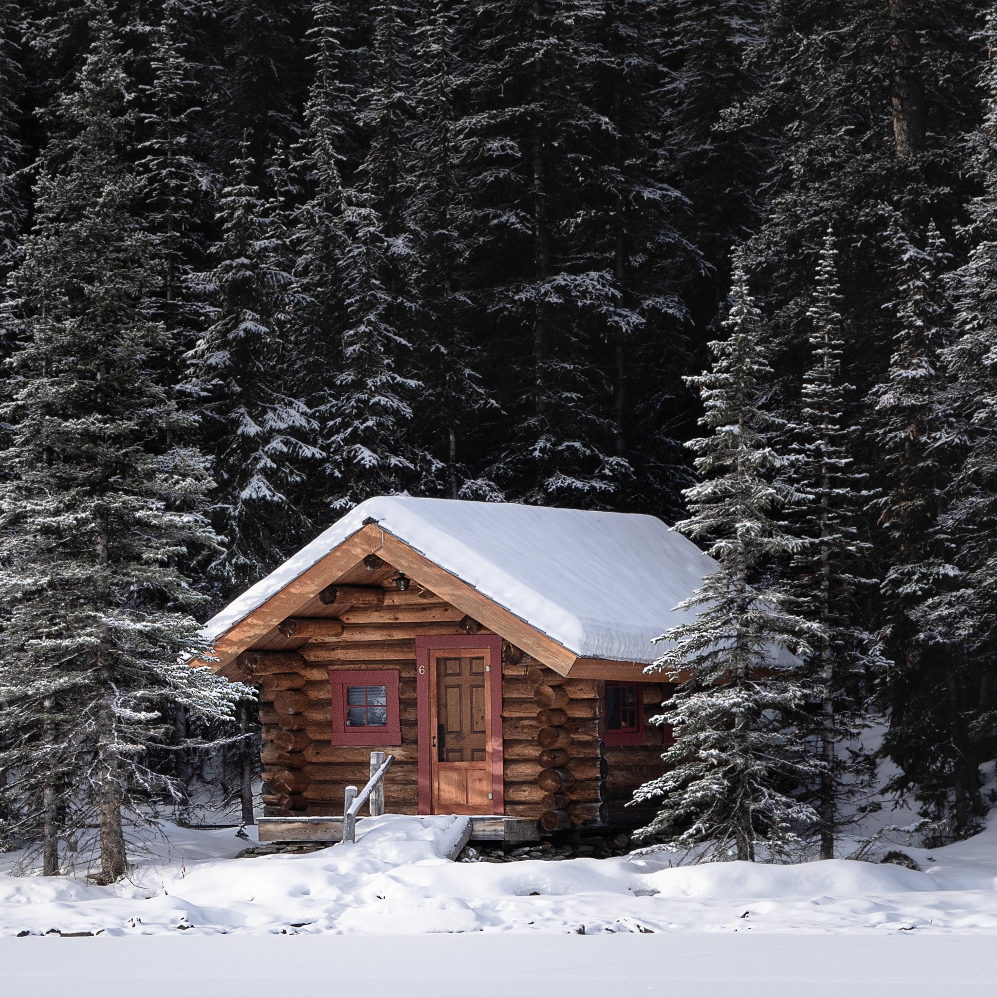 Premium Christmas Cabin Fragrance Oil - Warm Spiced Pine & Cinnamon Scent for Holiday Diffusers, Candles & Soap Making - Perfect for Cozy Winter Nights & Festive Home Decor