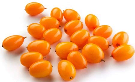 Northwest Wild Foods Fresh Frozen Wild Sea Buckthorn - 9 lbs | Antioxidant-Rich Superfruit for Smoothies, Pies, Jams & Syrups | Healthy Diet Supplement for Immune Support & Skin Care
