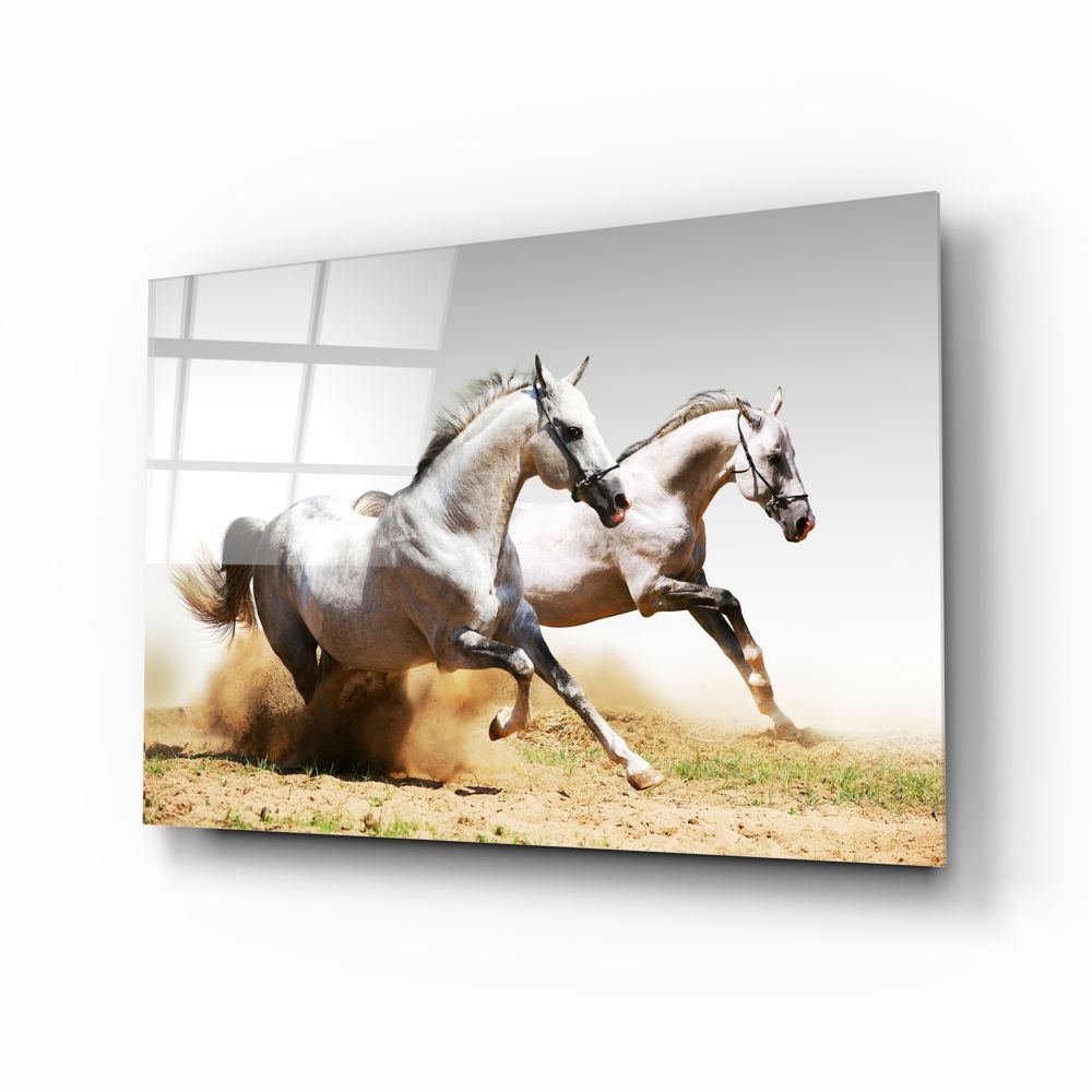 Premium Horse Riding Gear & Equipment for Equestrians - Saddles, Bridles & Accessories | Perfect for Trail Riding, Dressage & Show Jumping