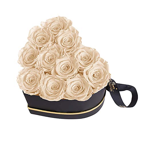 Luxury Long Lasting Preserved Roses in a Box - Grand Heart Champagne Rose Gift for Anniversary, Valentine's Day, Wedding & Home Decor