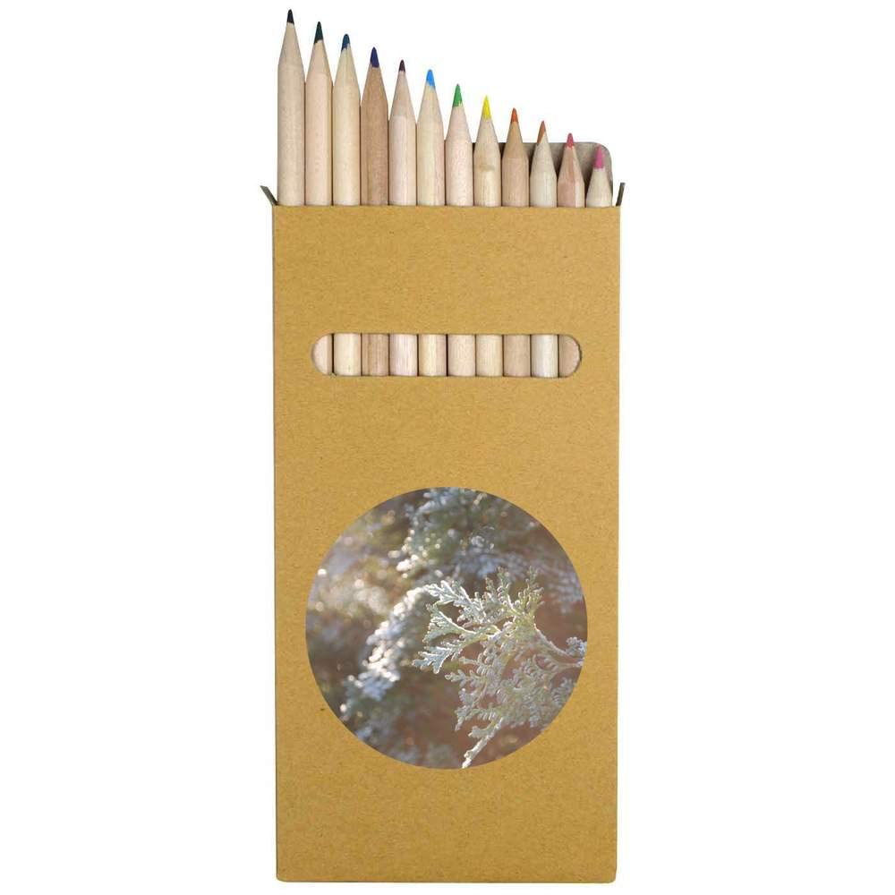 Azeeda 12-Pack Frosty Conifer Leaves Colored Pencils Set - 178mm Long Art Drawing Pencils (PE00011892) for Sketching, Coloring Books & Professional Artwork