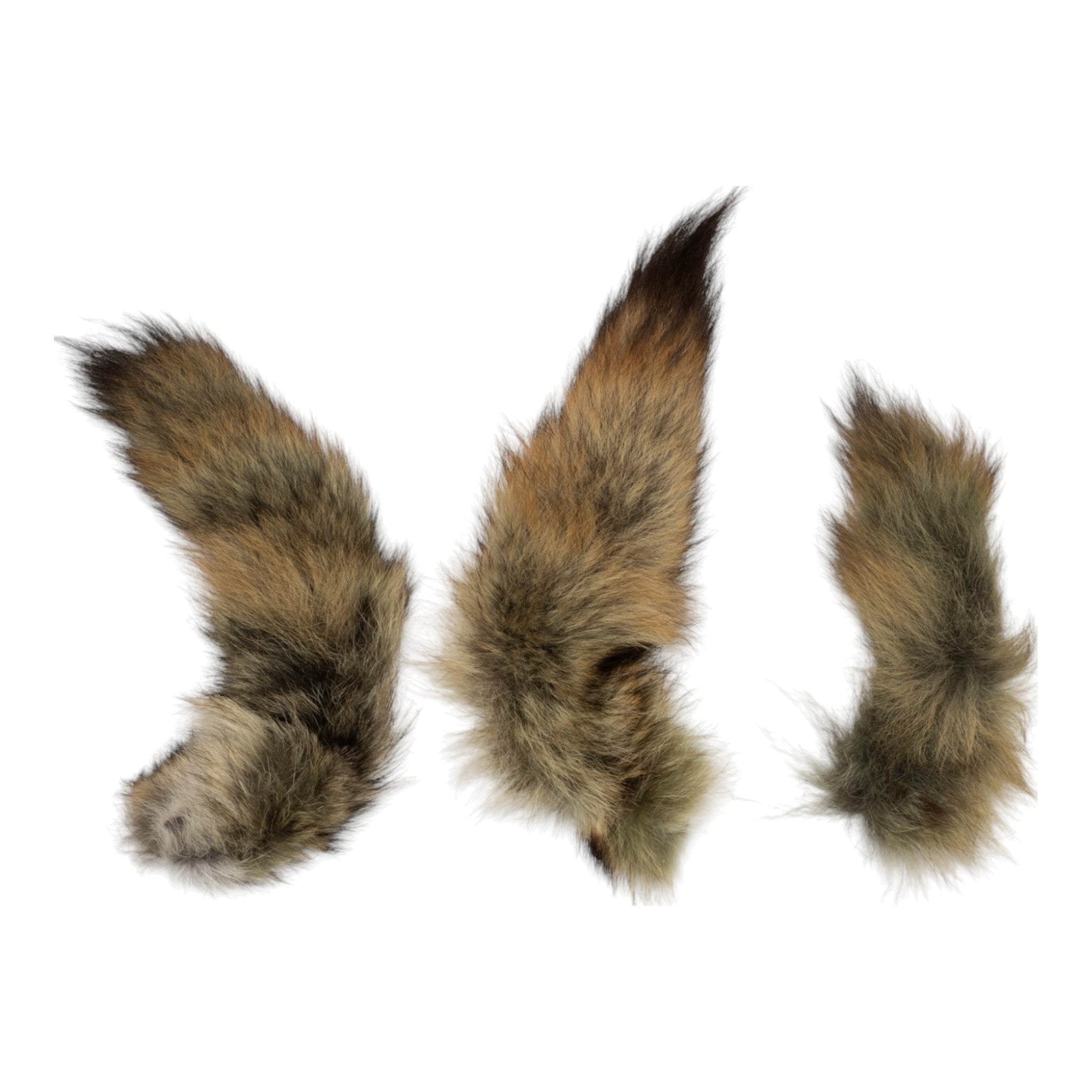 Premium Real Tail Hide - Assorted Animal Species (Green) for DIY Crafts, Home Decor & Costume Accessories