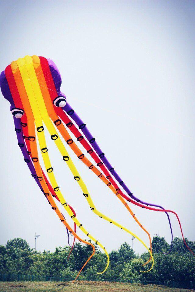 15m Rainbow Octopus Inflatable Kite - Giant Flying Octopus Kite for Beach, Park & Outdoor Family Fun - Perfect for Kids, Adults & Festivals
