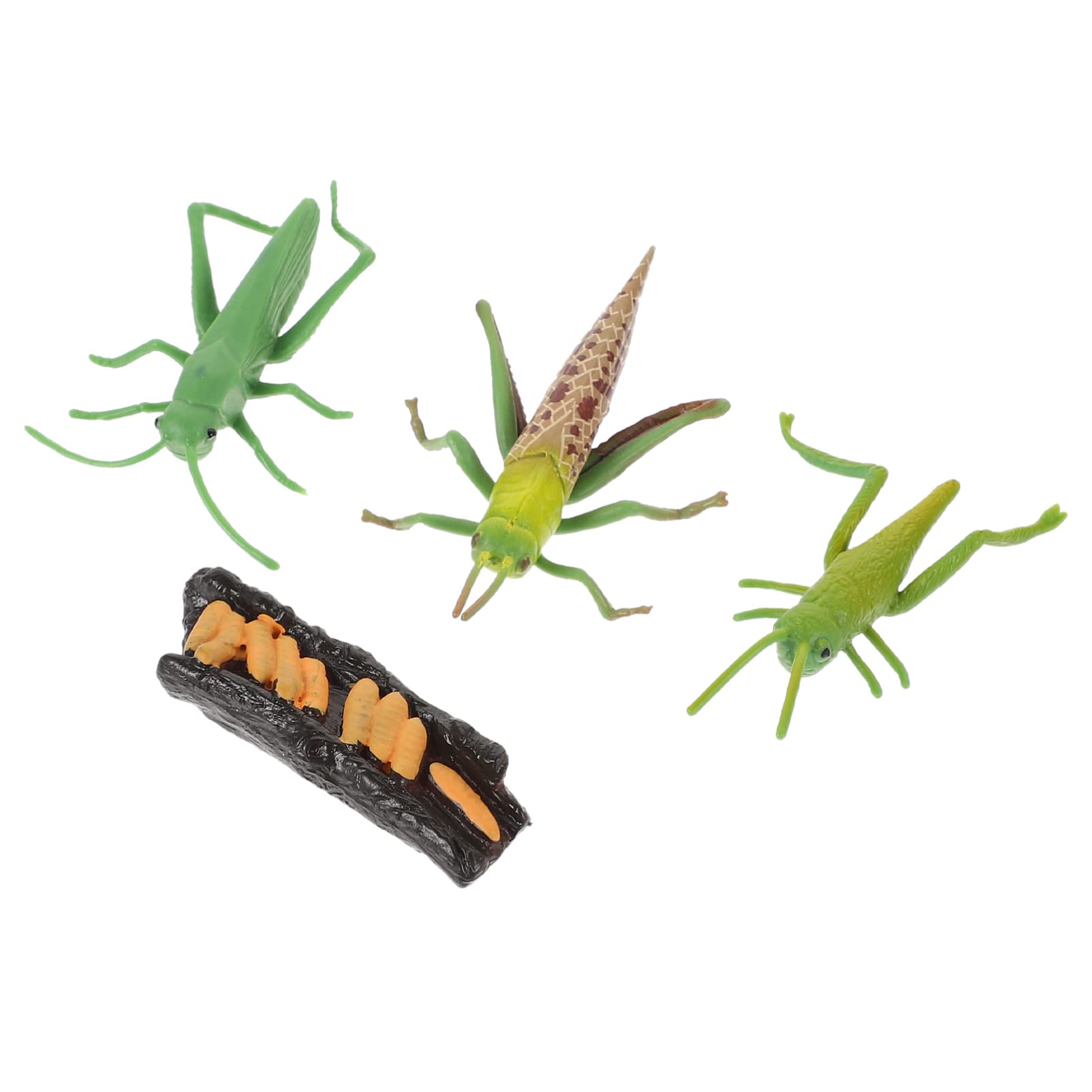 HANABASS Frog & Grasshopper Life Cycle Toys for Toddlers - Realistic Animal Growth Cycle Playset, Educational Kids Toys for Learning Biology - Perfect for Preschool Classroom, Nature Exploration & STEM Activities