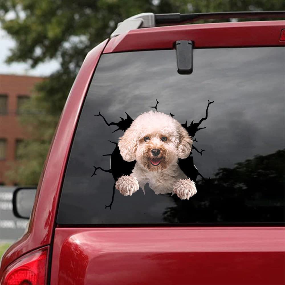 Toy Poodle Dog Crack Car Sticker - Funny Broken Glass Vinyl Decal for Windows & Bumpers - Perfect Gift for Dog Lovers & Poodle Moms - Great for Cars, Trucks, Laptops & Water Bottles