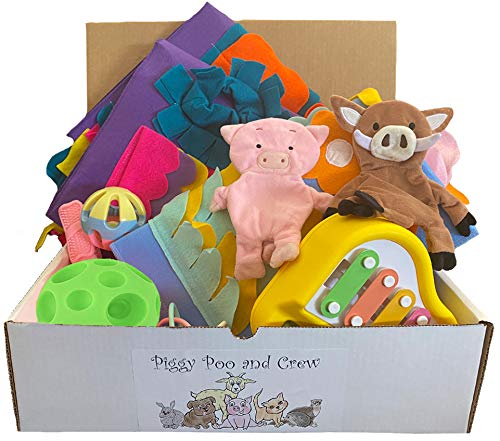Pig Box Pet Toy Gift Set - Interactive Chew Toys for Dogs & Puppies - Perfect for Playtime, Training, and Anxiety Relief