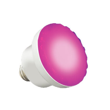 Halco LPL S3 RGBW 12 Color Splash LXGW2 RGBW Pool Light with Guardian Lens Gasket - 12V LED Underwater Lighting for Pentair Pool & Spa | Perfect for Backyard, Landscape, and Water Feature Illumination
