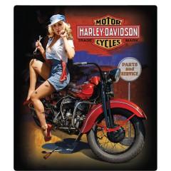 Harley Davidson Motorcycle Repair Kit - Essential Tools for Fixing & Customizing Bikes | Perfect for DIY Enthusiasts & Bikers