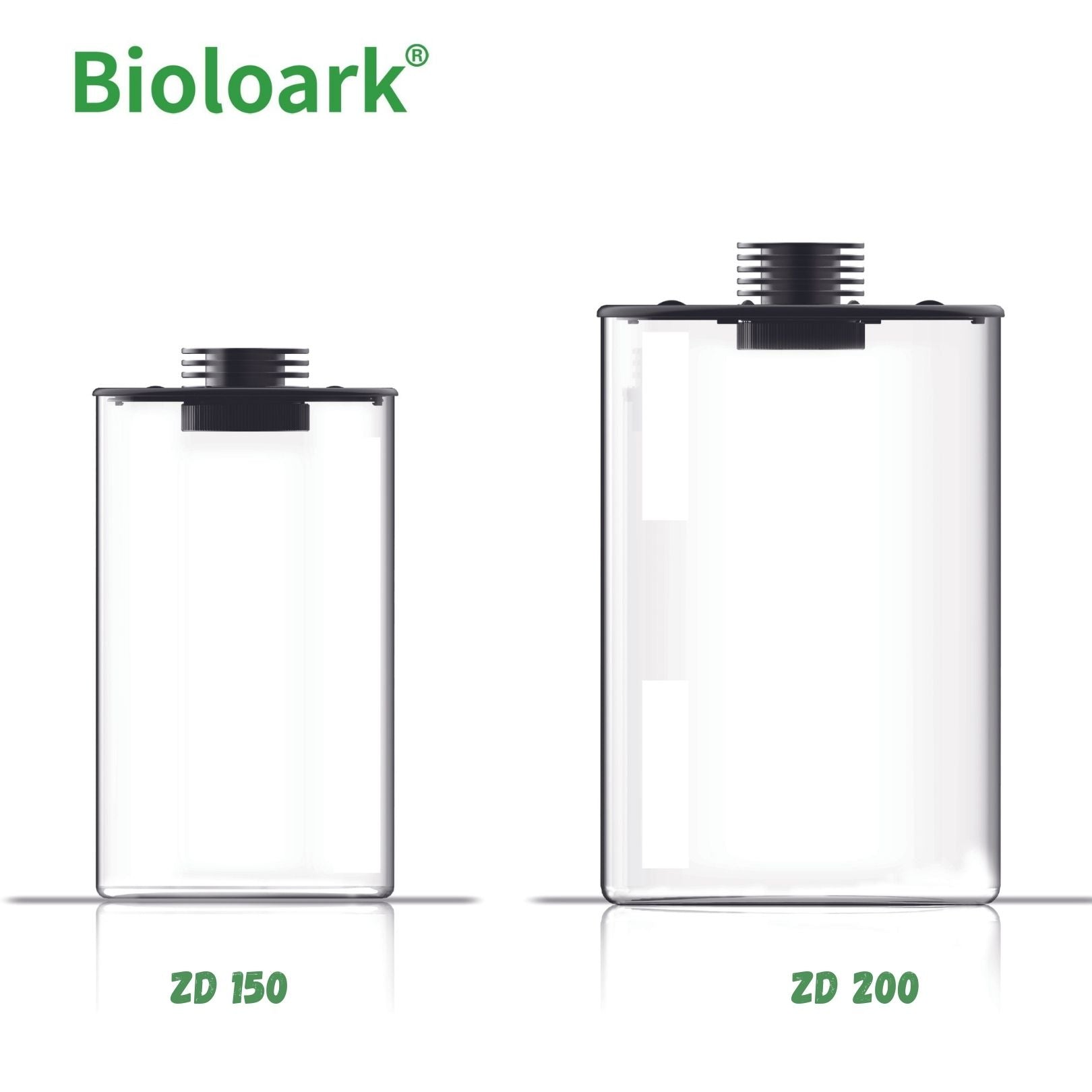 BIOLOARK Glass Cylindrical Terrarium for Plants & Reptiles - ZD 150 & ZD 200 Sizes - Perfect for Home Decor, Office Display & Mini Garden Setups