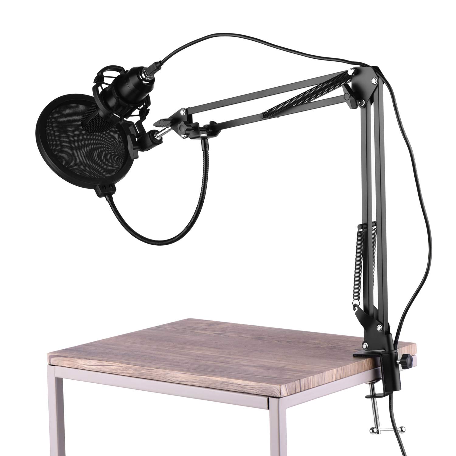 Fesjoy USB Professional PC Microphone Kit - Cardioid Condenser Mic with 192KHz/24Bit Resolution & Noise Cancellation - Compatible with Windows/Mac - Perfect for Podcasting, Gaming, Streaming & Voice Recording