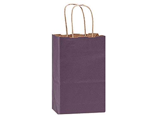 Eco-Friendly 100% Recycled Kraft Tint Bags - Rose Purple Bulk Shopping Bags 5.5x3.25x8.38 Inches (250 Pack) | Perfect for Retail Stores, Gift Wrapping & Eco-Conscious Packaging