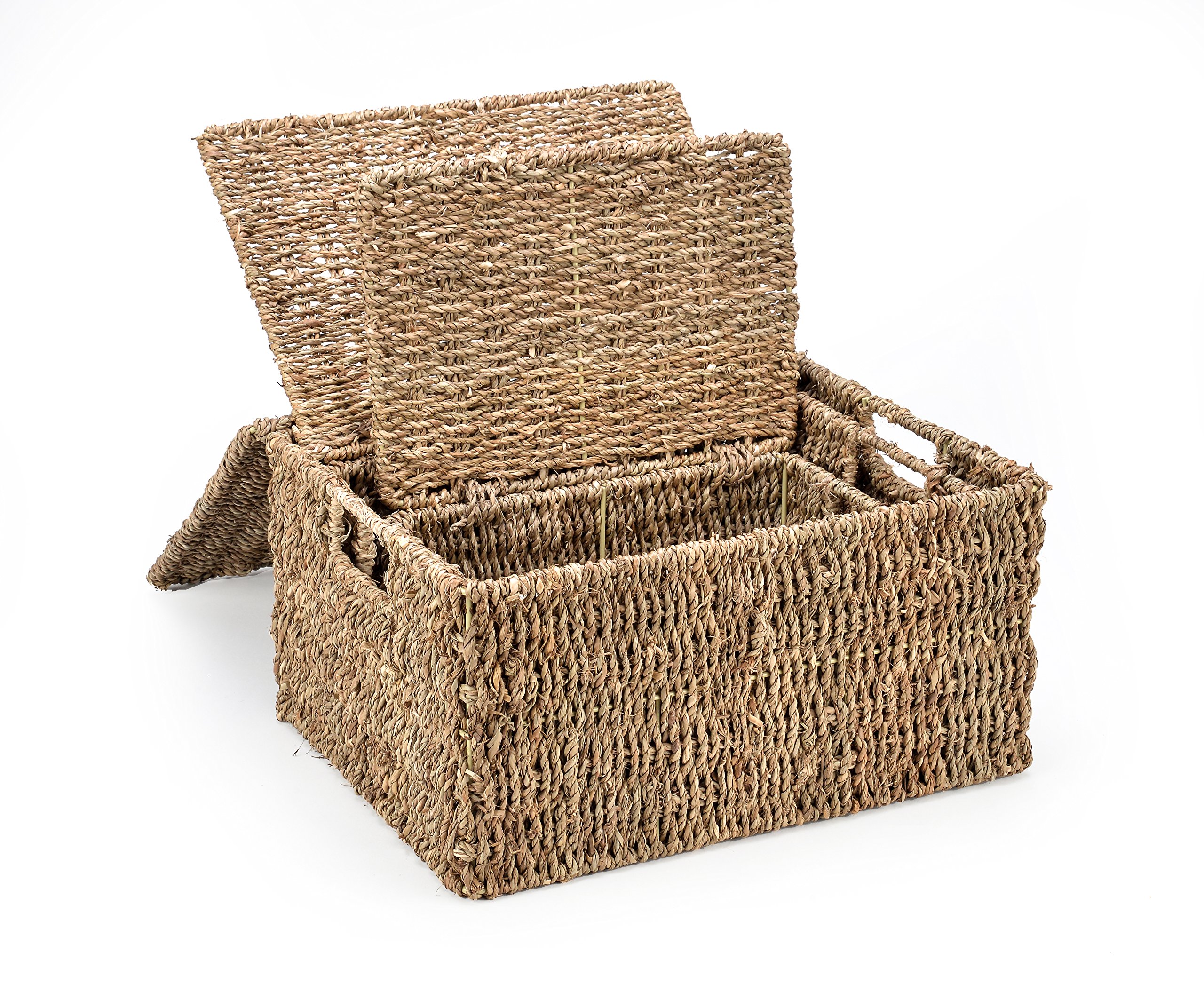 3-Piece Seagrass Storage Baskets with Lids - Natural Rectangular for Home Organization