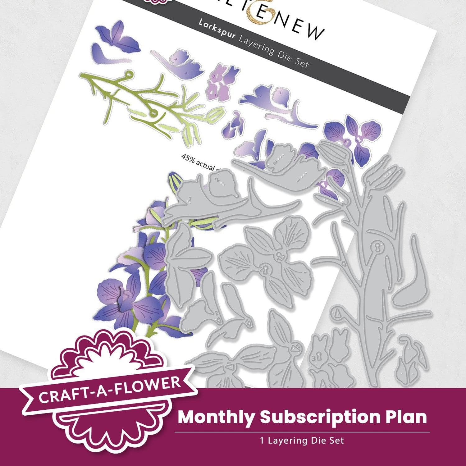 Monthly Flower Subscription Box - Handcrafted Floral Arrangements Delivered to Your Door | Perfect for Home Decor, Gifts & Special Occasions