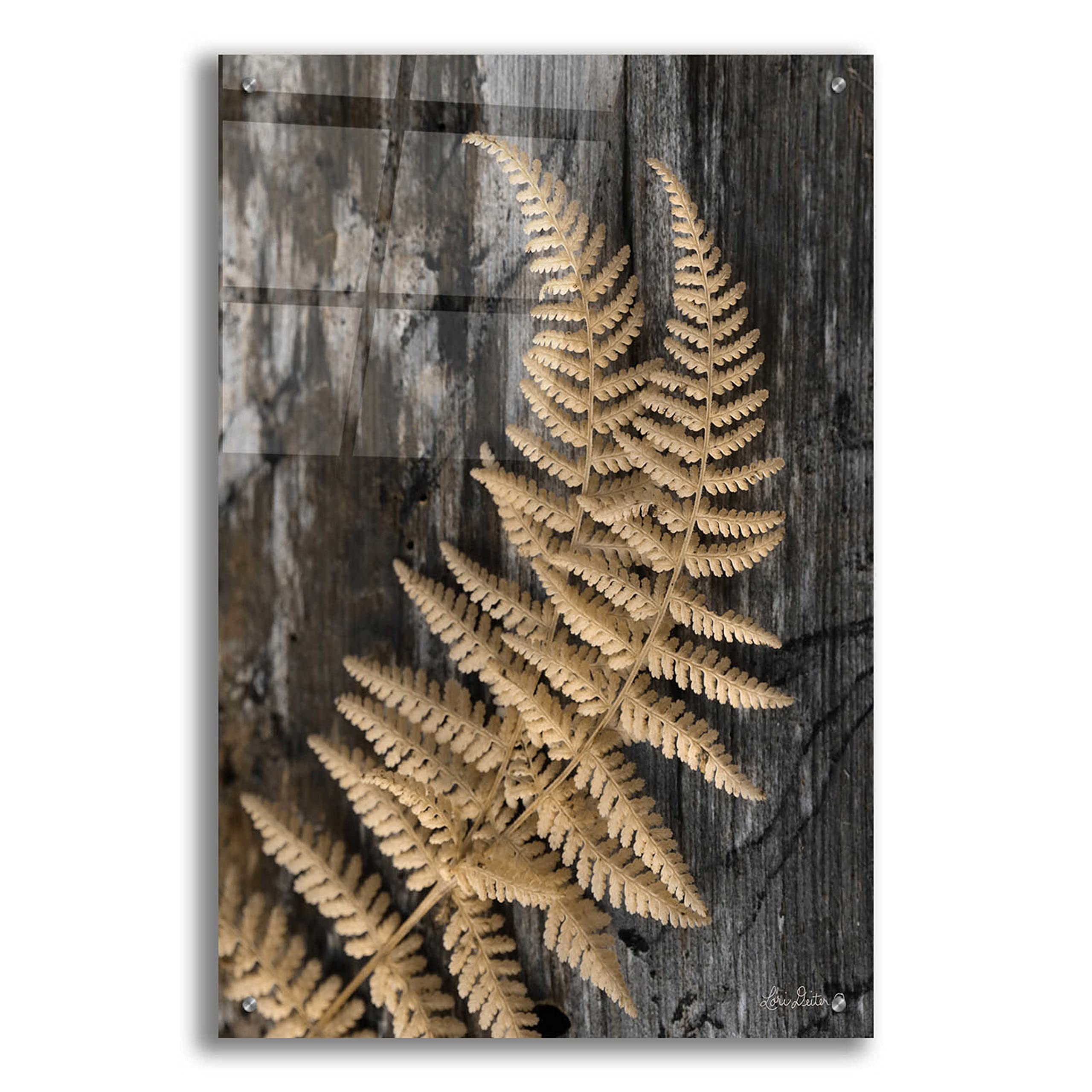 Natural Gold Fern Acrylic Glass Wall Art by Lori Deiter - 24x36 Inches Modern Botanical Painting for Living Room, Bedroom & Office Decor