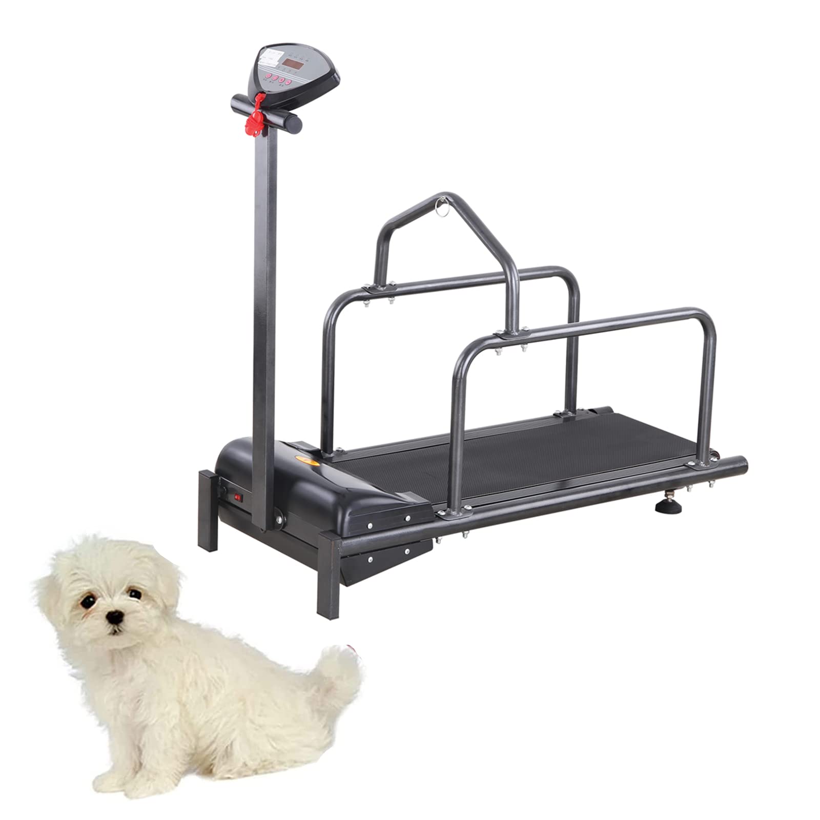 Pet Treadmill for Dogs - LED Display Dog Running Machine, 200W Motor for Small Dog Exercise & Weight Loss - Indoor Pet Training Equipment for Home Use & Fitness