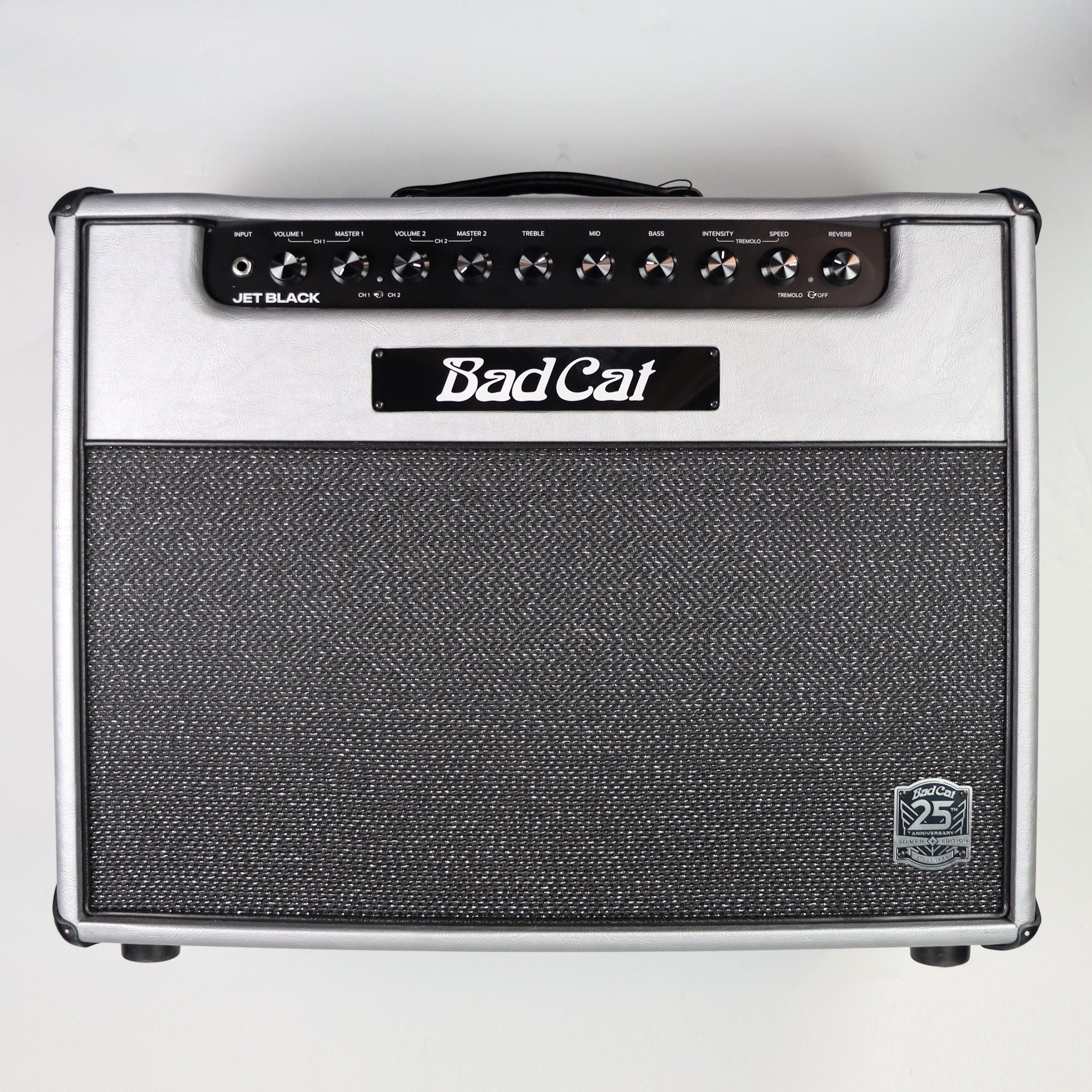 Bad Cat 25th Anniversary Jet Black Guitar Amplifier Combo - Perfect for Stage Performances & Home Practice