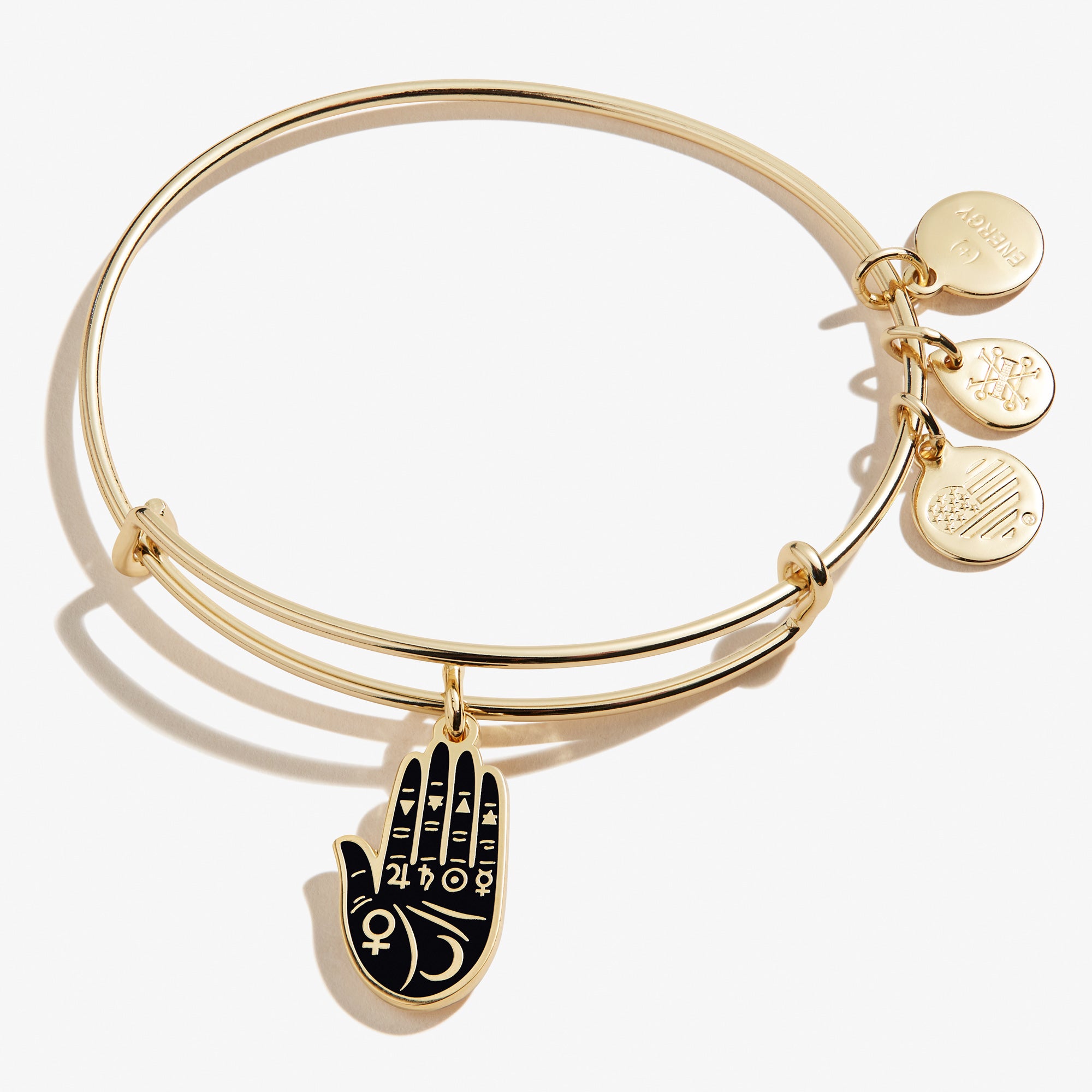 Lucky Palmistry Charm Bracelet for Women - Feng Shui Wealth & Fortune Jewelry - Perfect for Spiritual Healing, Meditation & Gift Giving