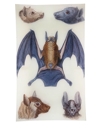 Premium Rectangle Serving Tray - 4-Piece Set for Dining, Entertaining & Home Decor | Elegant Bats Design for Parties, Weddings & Holiday Gatherings