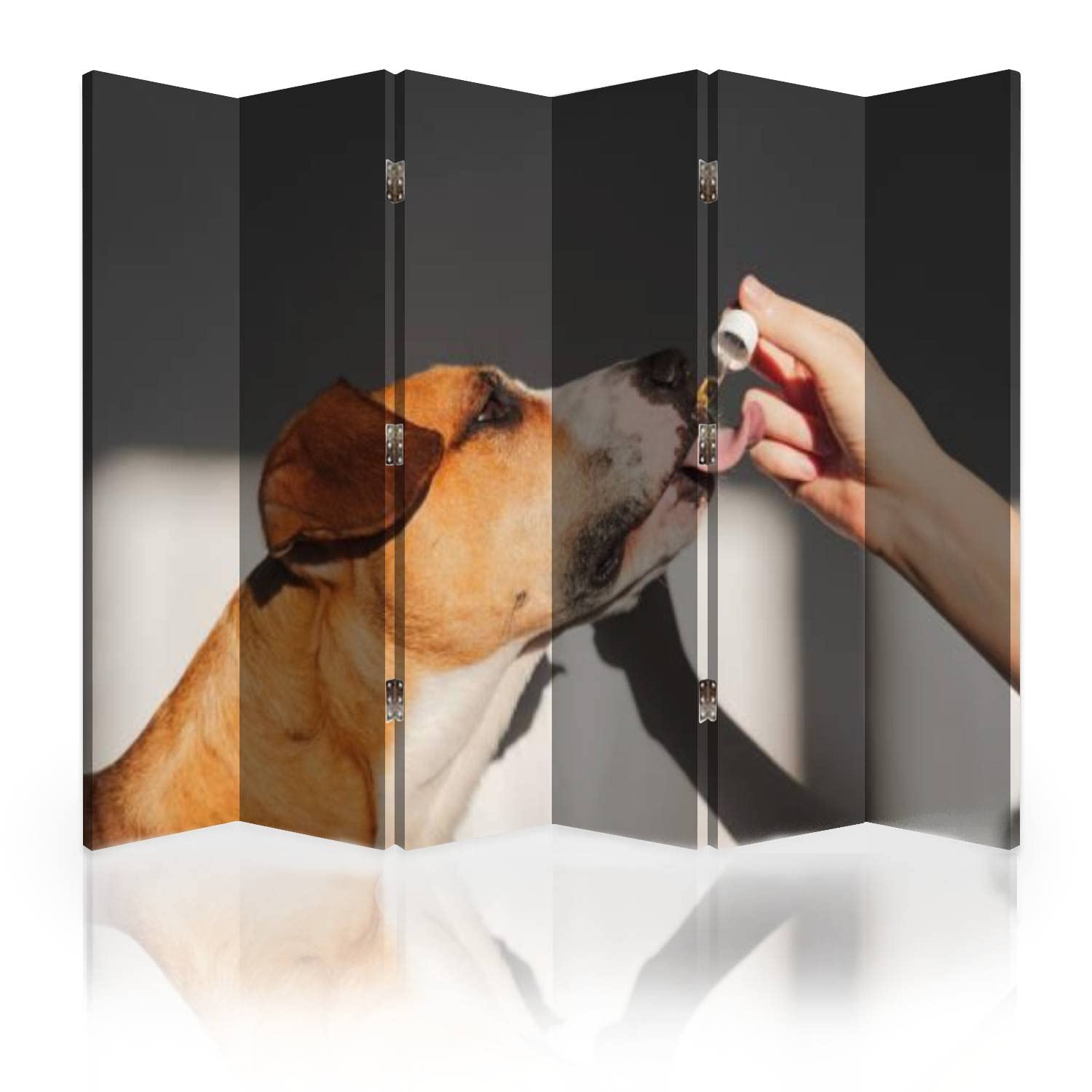 6-Panel Canvas Room Divider Screen with Essential Oil Dispenser - Foldable Privacy Partition Wall for Bedroom, Office & Living Space | Pet-Friendly Home Decor