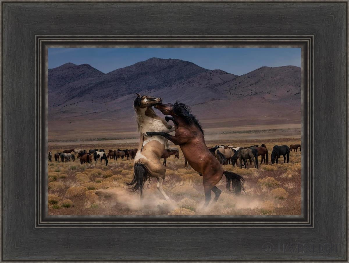 Desert Duel by Greg Sargent - Western Novel, Adventure & Action Book - Perfect for Fans of Cowboy Stories and Wild West Tales | Great for Reading on Road Trips, Camping & Relaxation