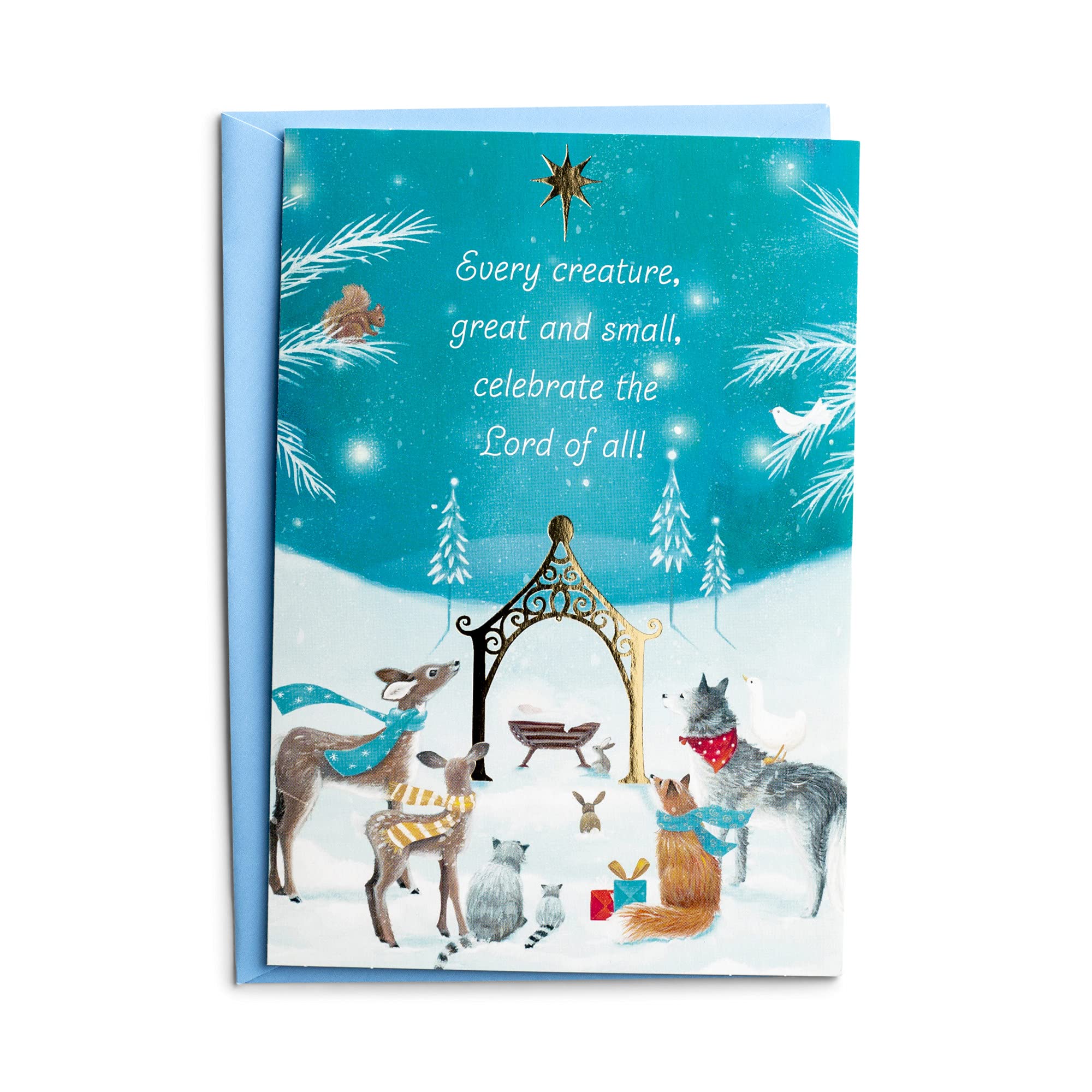 DaySpring 18 Christmas Cards with Bible Verses & Envelopes - Blue Religious Holiday Greeting Cards Featuring 'Every Creature' Design for Christian Celebrations, Church Events & Family Gatherings