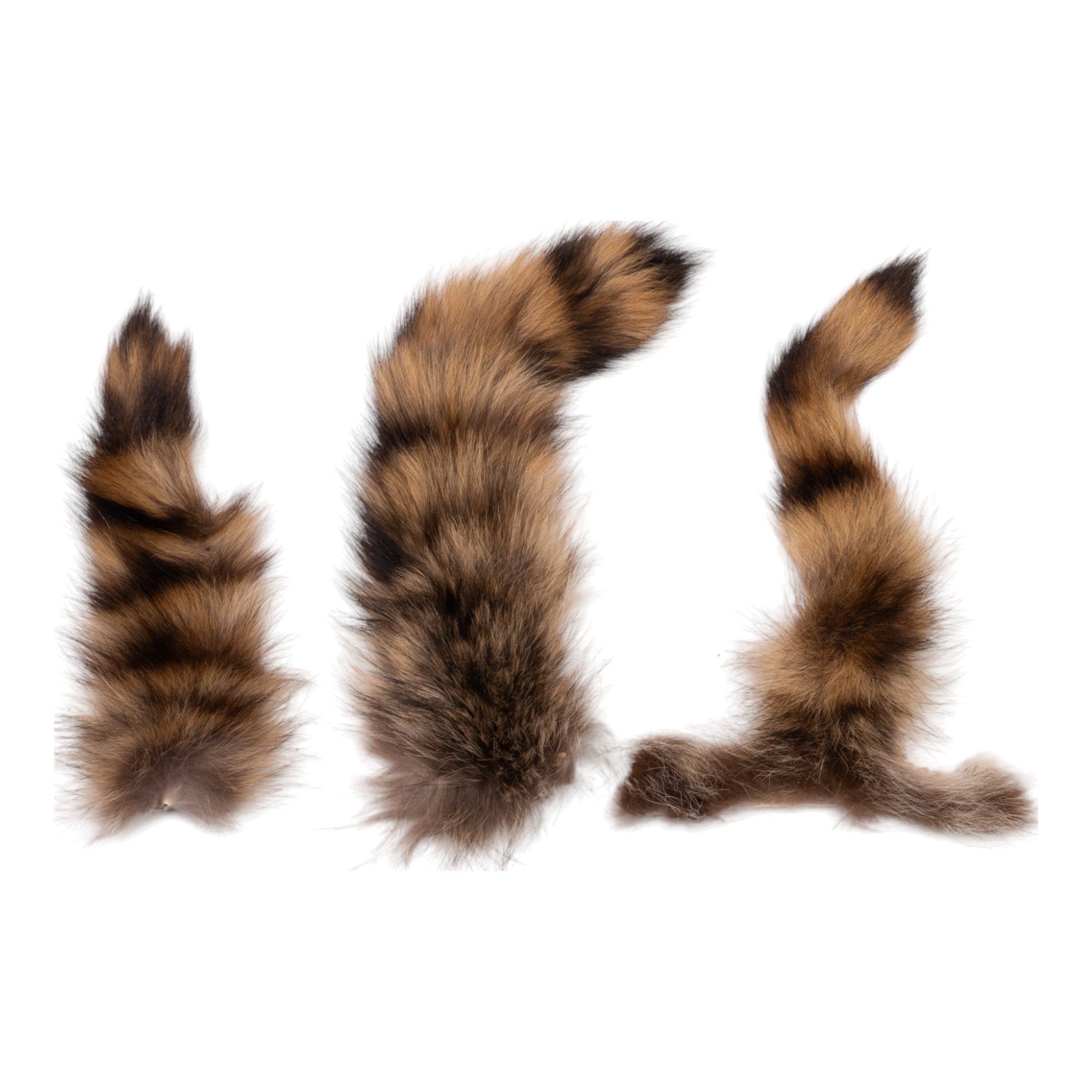 Genuine Raccoon Tail Hide - Natural Fur Tail for Crafts, Costumes & Accessories - Perfect for DIY Projects, Cosplay, and Native American Regalia
