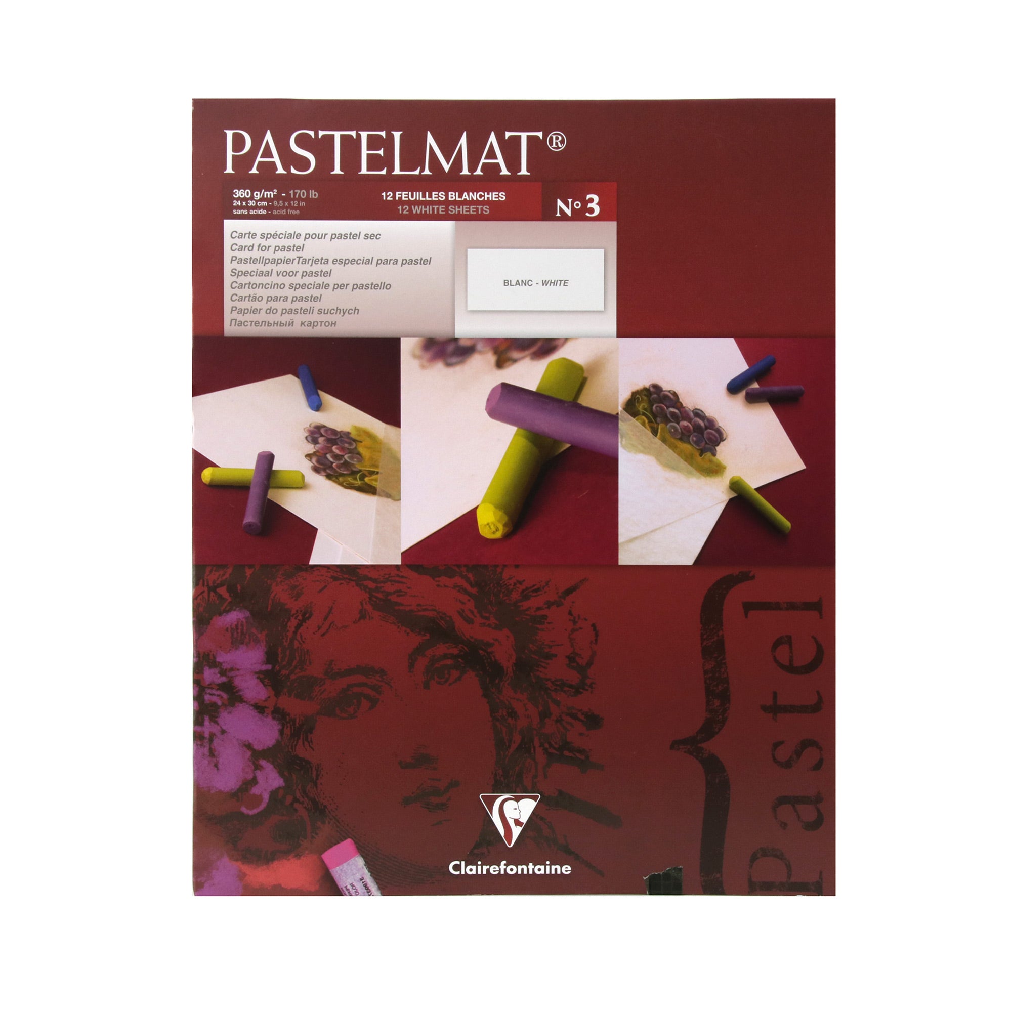12-Sheet Pastelmat Pad - Premium White Pastel Paper for Artists | Perfect for Drawing, Sketching & Mixed Media Art Projects
