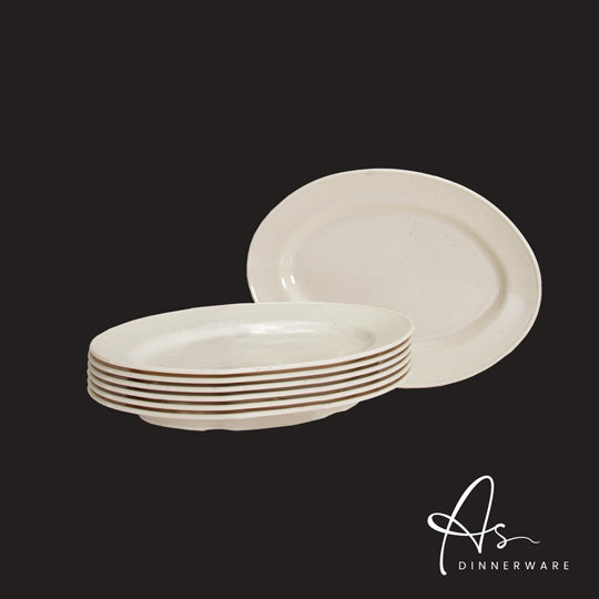 8-Piece Oval Plate Set - Durable Dinnerware for Restaurants, Catering & Home Use (6M, 48 Packs/Carton) - Perfect for Parties, Events & Everyday Dining