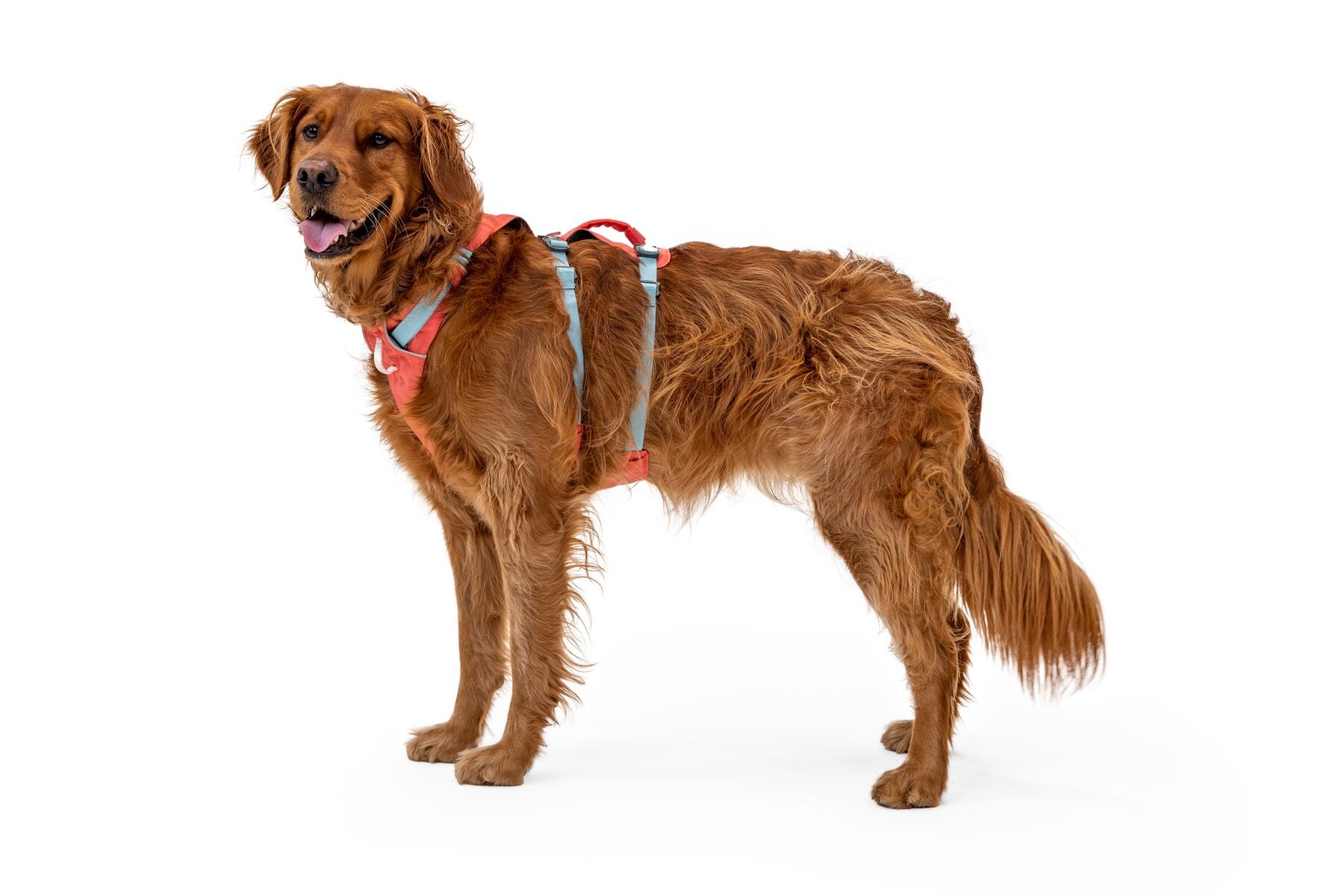 Ruffwear Flagline Harness® - Adjustable Multi-Use Dog Harness in High-Visibility Lichen Green for Hiking, Running & Outdoor Adventures