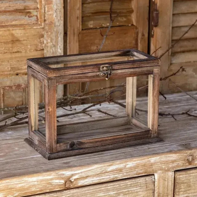 Premium Collector's Display Case - Showcase & Protect Your Valuable Collectibles - Perfect for Coins, Stamps, Jewelry & Memorabilia Display at Home or Office
