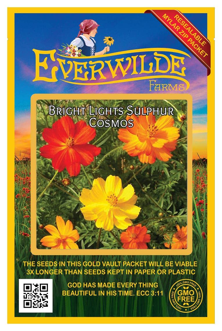500 Bright Lights Mix Cosmos Wildflower Seeds - Everwilde Farms Gold Vault Jumbo Seed Packet - Perfect for Butterfly Gardens, Cut Flowers & Pollinator Landscapes