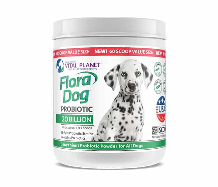 Flora Dog Probiotic 20 Billion CFU - Digestive Health Supplement for Dogs - Supports Gut & Immune System - Ideal for Sensitive Stomachs & After Antibiotics