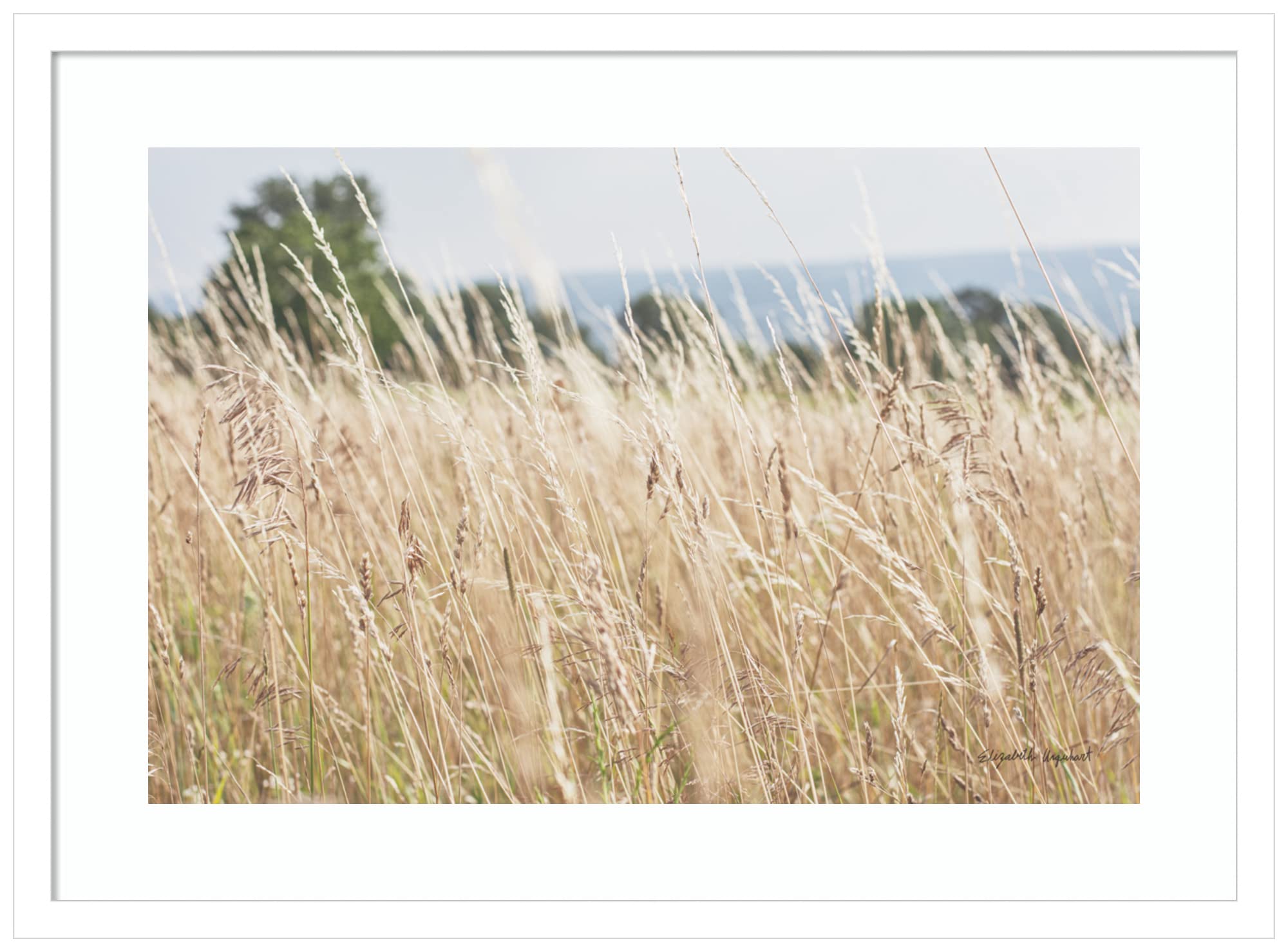 Amanti Art Framed Wall Art Print - 19x25 Summer Field Landscape by Elizabeth Urquhart | Nature Wall Decor, Rustic Farmhouse Painting | Perfect for Living Room, Bedroom, Bathroom & Kitchen | Brings Countryside Charm to Your Home