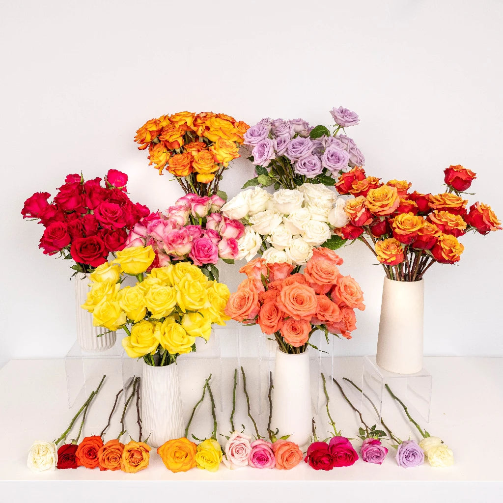 400 Fresh Long Stem Red Roses - Perfect Mother's Day Gift Bouquet for Mom, Anniversary, Valentine's Day & Romantic Occasions