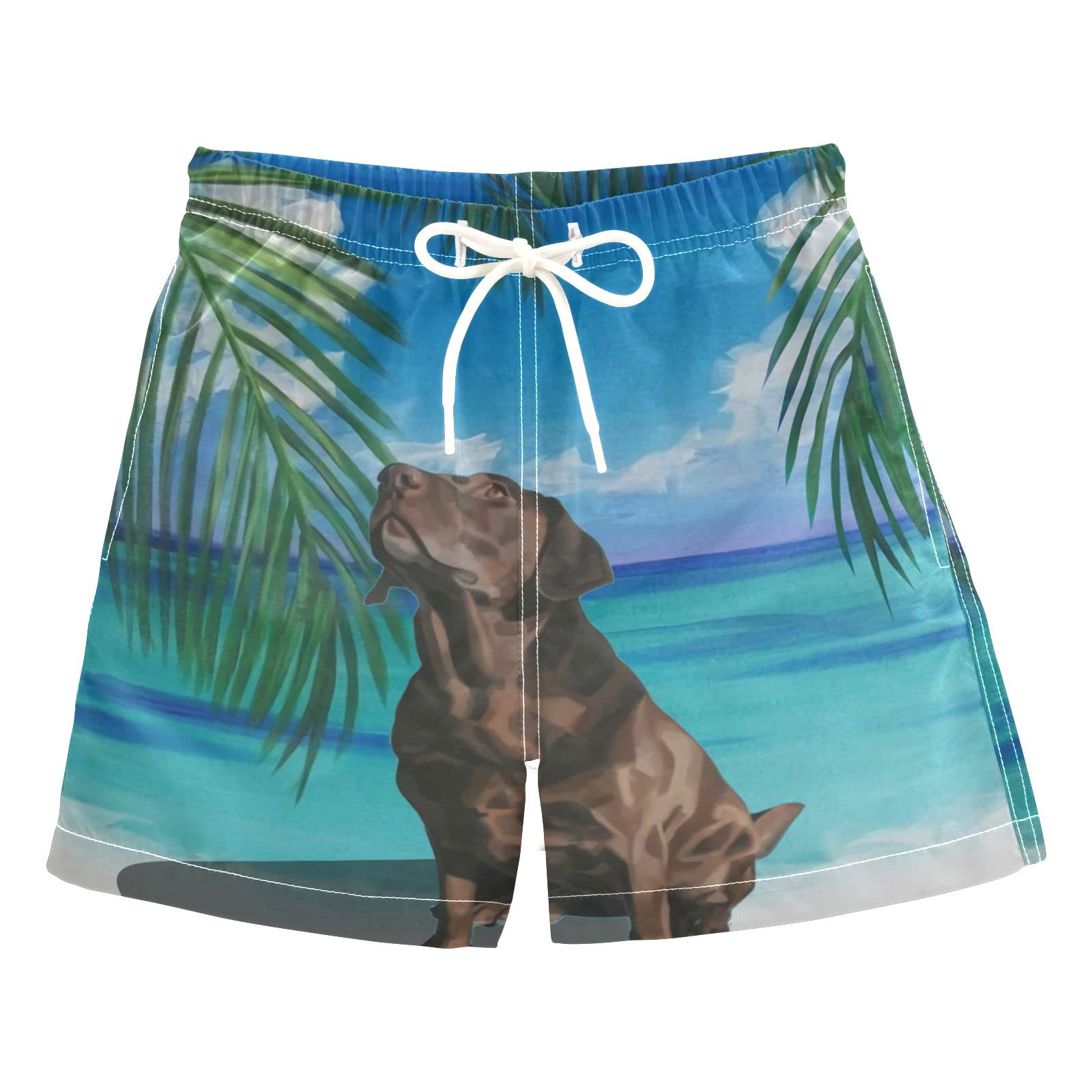 AMICHIC Boys Labrador Retriever Dog Print Swim Trunks - Quick Dry Board Shorts for Beach, Surf & Pool - Hawaii Vacation Swimwear Essentials for Summer Water Activities