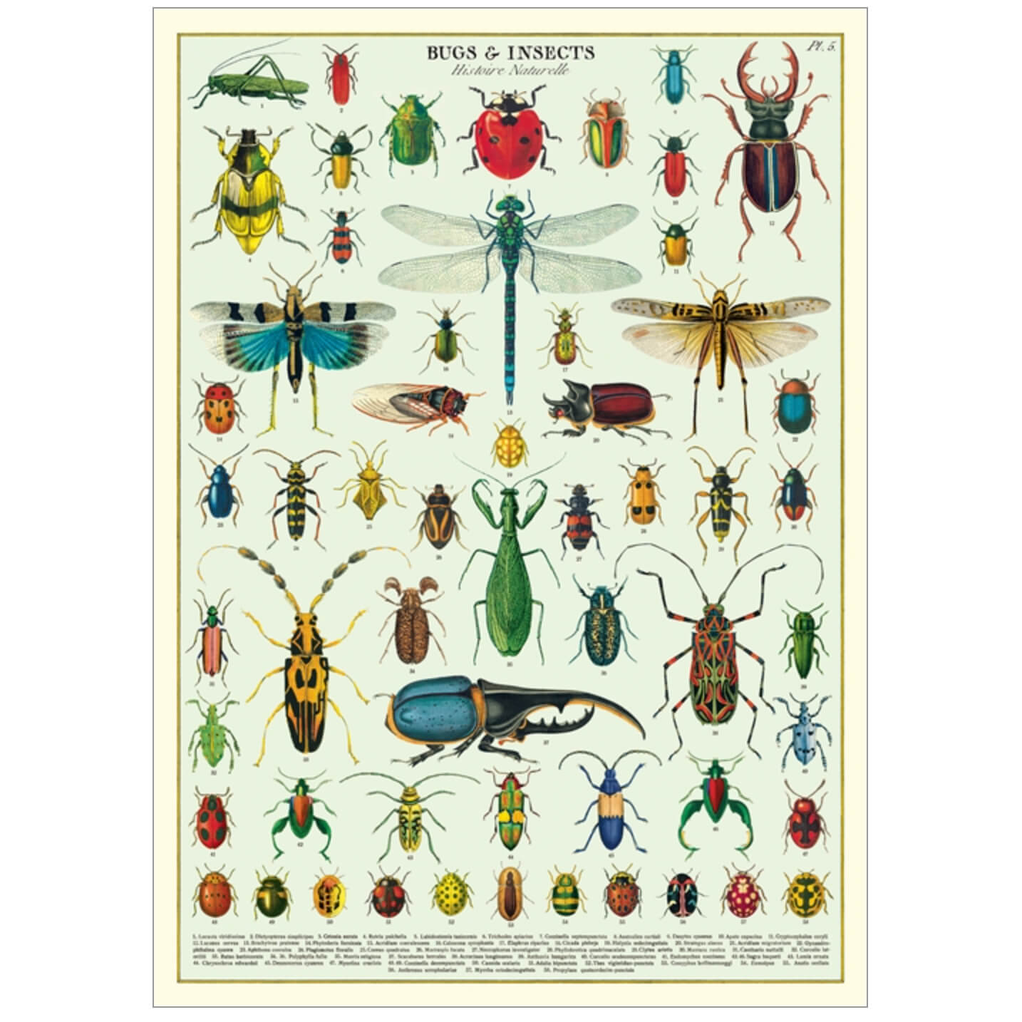 Bug & Insect Wrap - Natural Pest Control for Plants & Gardens | Protect Vegetables, Fruits & Flowers from Pests | Outdoor & Indoor Gardening Use