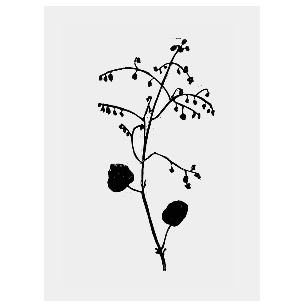 Lino Cuts Begonia PNG - High-Quality Digital Floral Art for Scrapbooking, Invitations, and DIY Crafts