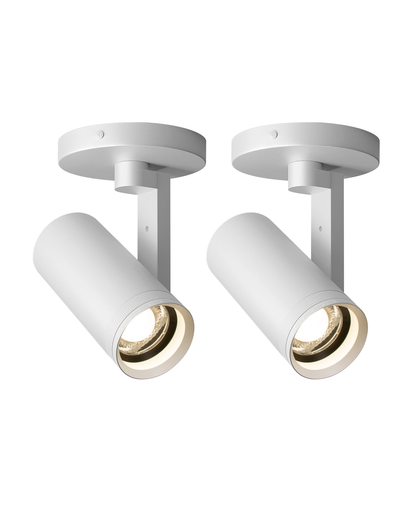 Aisilan 12W Adjustable Dimmable LED Spotlight - 3000K Warm White, 10-55° Zoomable Beam Angle, CRI 97, Black Ceiling Light Fixture (2 Pack) - Perfect for Artwork, Living Room, Mural & Home Accent Lighting