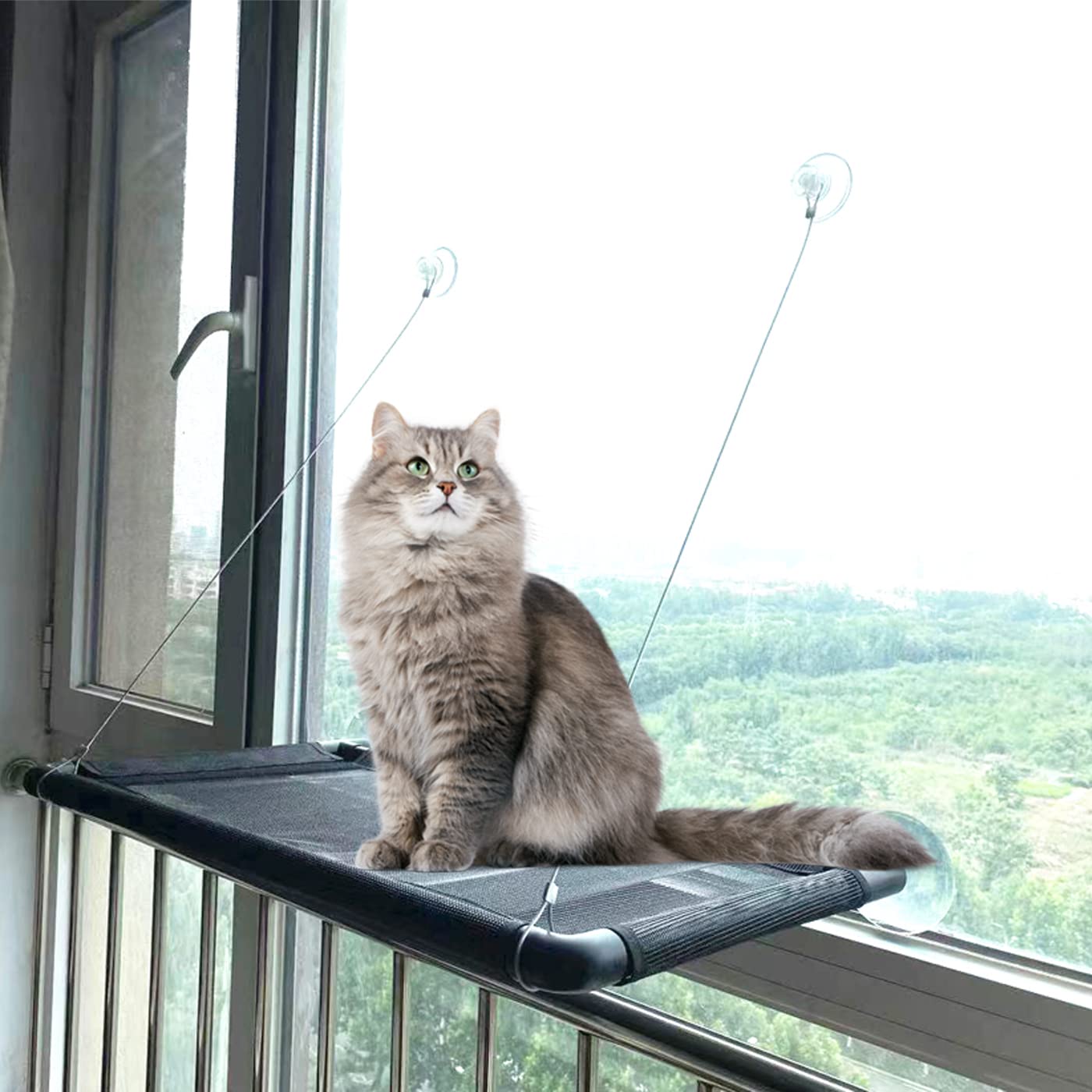 Lannso Large Cat Window Perch - Durable Pet Hammock Bed with Heavy Duty Suction Cups, Sturdy & Comfortable Resting Seat for Cats - Easy to Assemble - Perfect for Sunny Windows, Apartment Living & Indoor Cat Relaxation