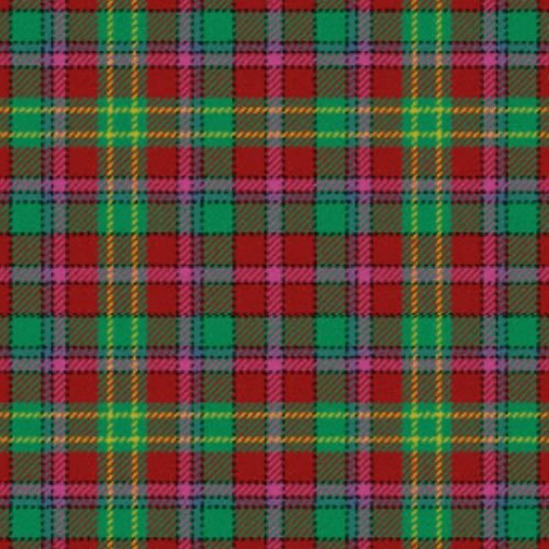 Golden Broom Tartan - Premium Quality Broom for Home Cleaning | Perfect for Kitchen, Garage, and Outdoor Use