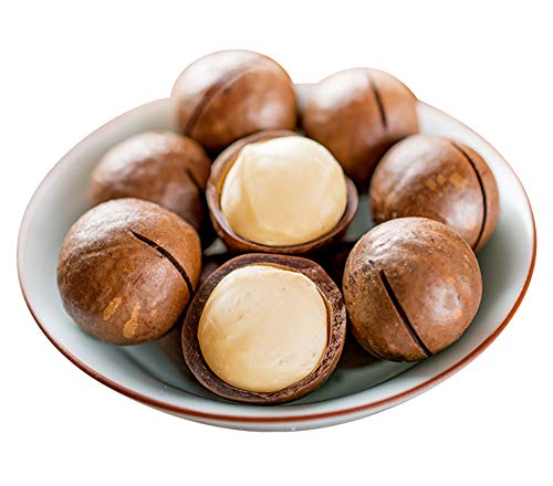 Creamy Macadamia Nuts 100g - Healthy Snack for Office & Travel