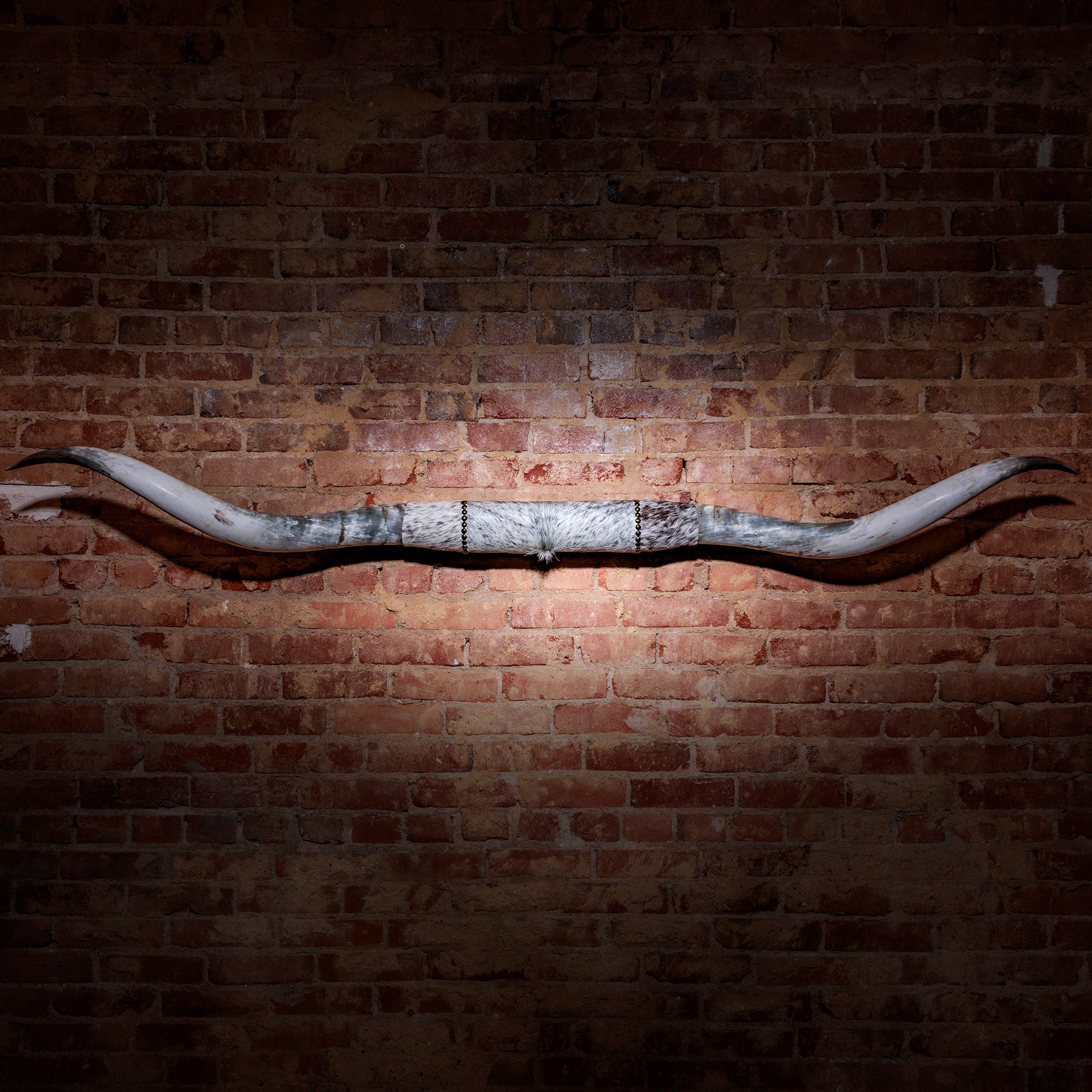 Rustic Longhorn Skull Wall Decor - Grey & White Faux Leather Wrap with Antique Nailhead Trim | Western Home Decor for Living Room, Office or Cabin