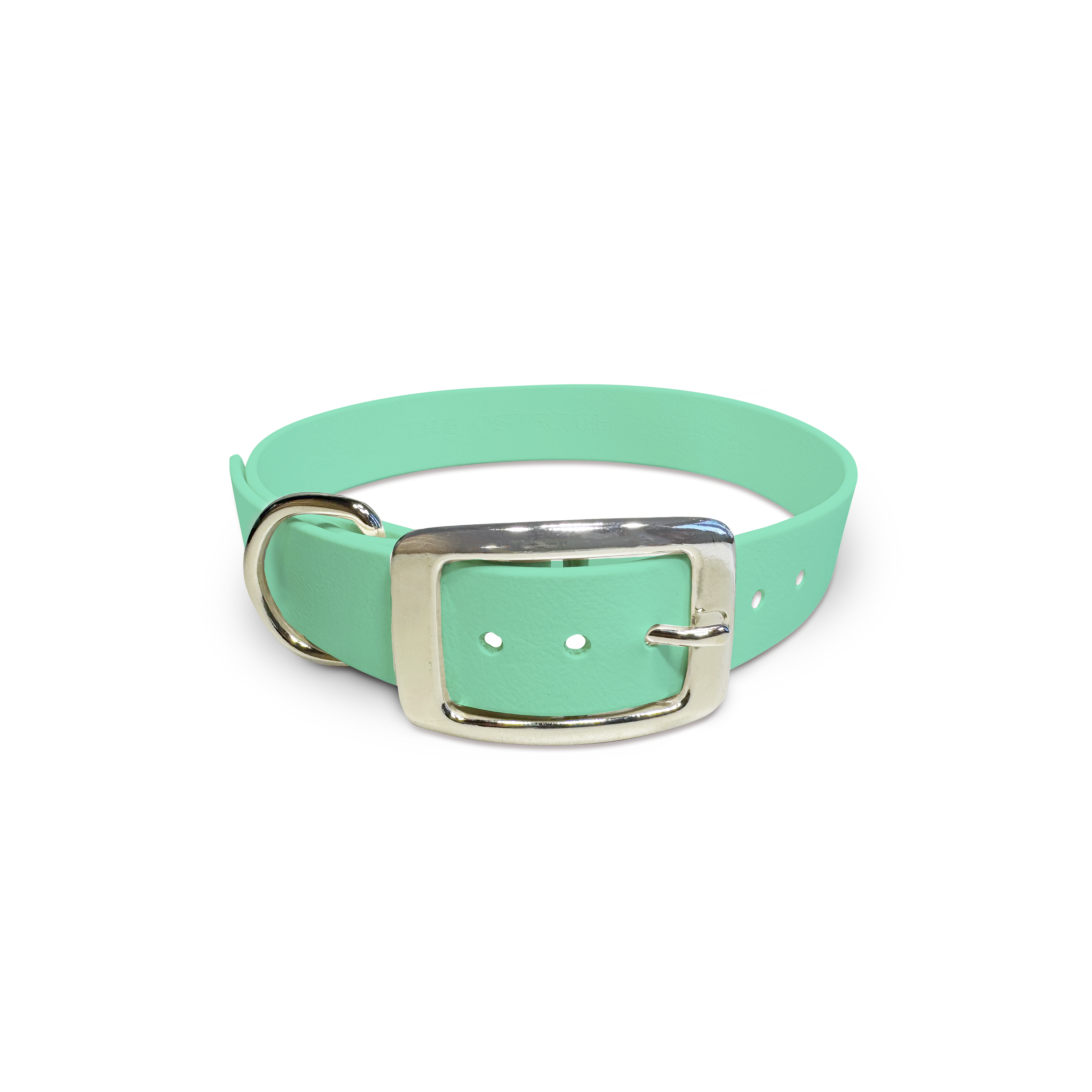 Seafoam Classic Dog Collar - Adjustable Nylon Pet Collar for Small Medium Large Dogs - Perfect for Walking, Training, and Outdoor Adventures