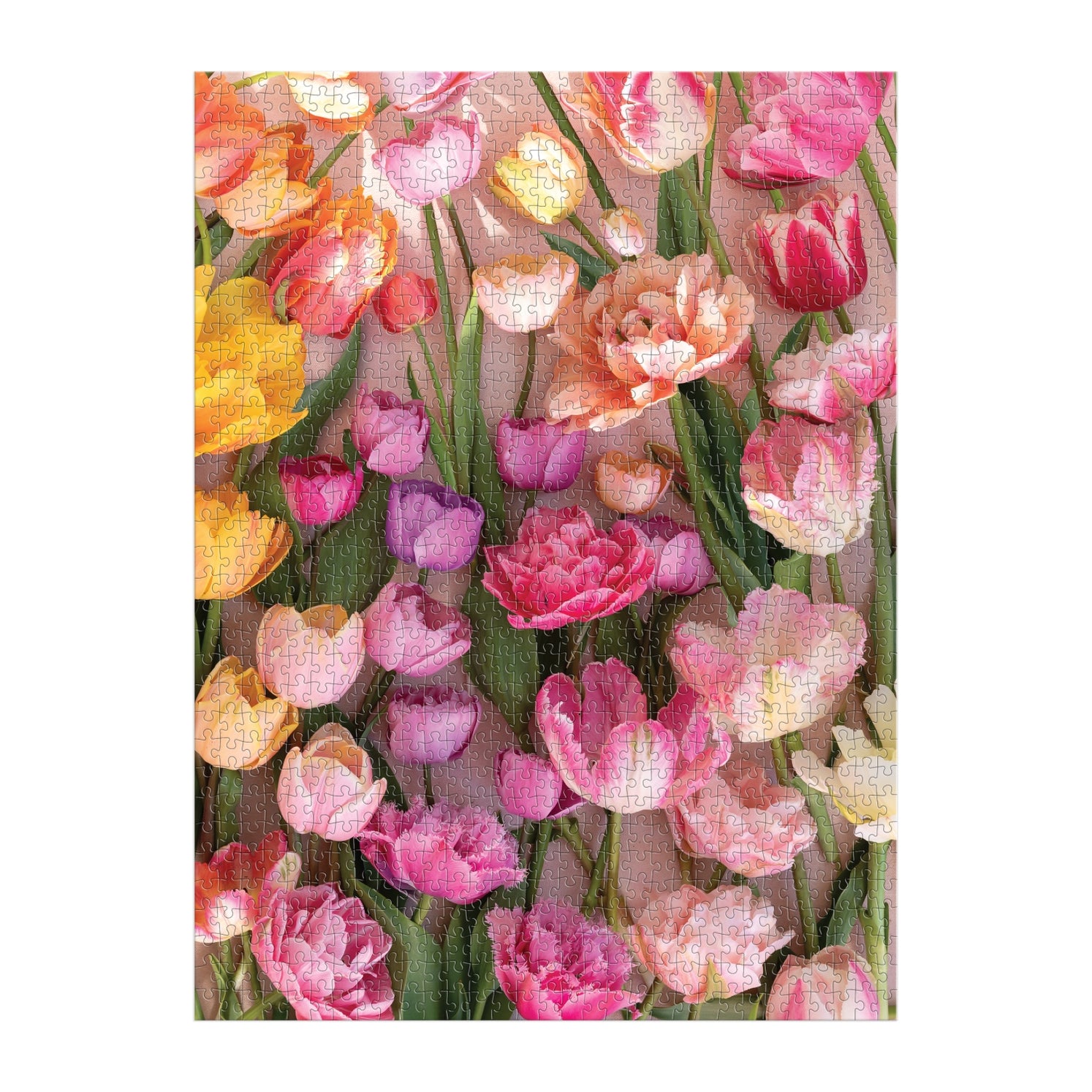 Ephemeral Tulips 1000 Piece Jigsaw Puzzle for Adults - Beautiful Floral Landscape Puzzle Game for Family Night, Stress Relief & Home Decor