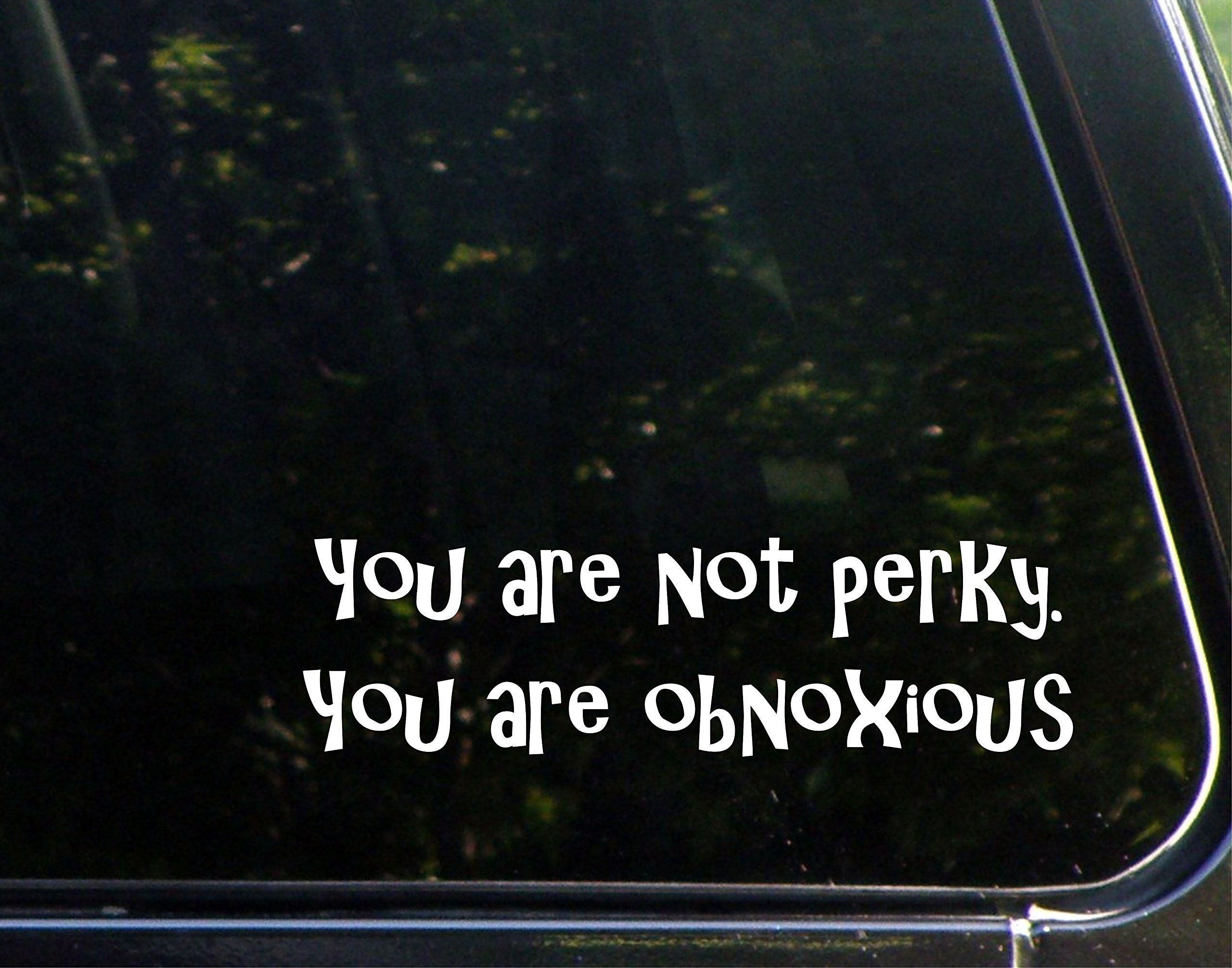 Funny Vinyl Die Cut Decal - 8 3/4