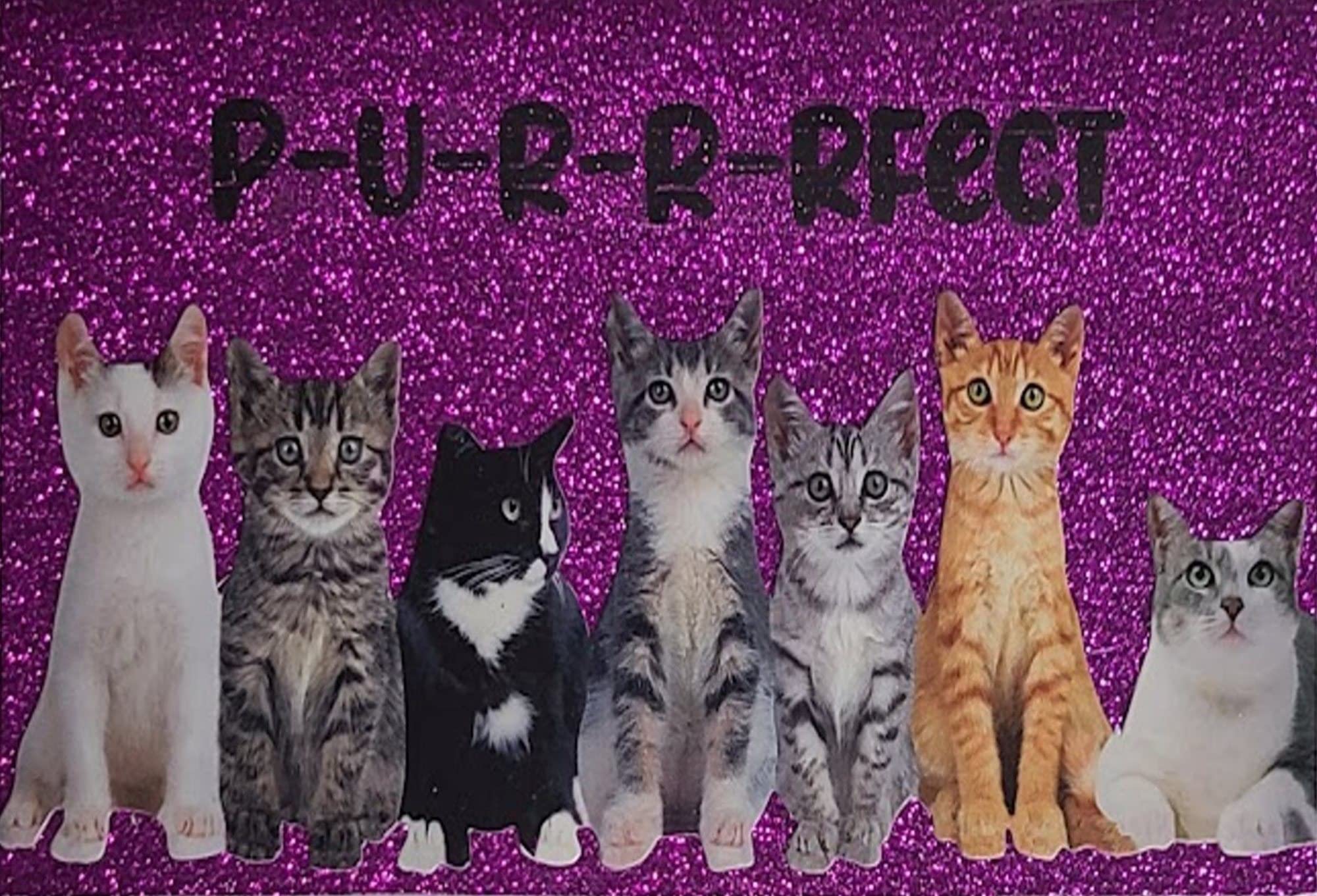 2023-2024-2025 3 Year Pocket Planner with Notepad - Cute Cat Kitten Design in Purple Plum | Perfect for School, Office & Daily Planning