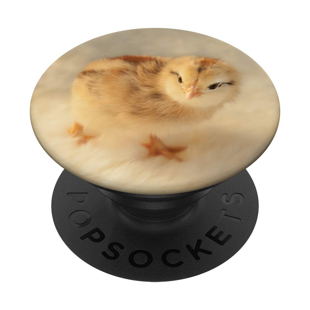 Fluffy Yellow Baby Chick PopSockets Phone Grip & Stand - Compatible with iPhone, Samsung, Tablets - Perfect for Kids, Easter Gifts & Spring Decor